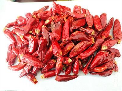 Getrocknete, ovale Vögel-Augen-Chilli, reich an Vitamin C, zum Kochen