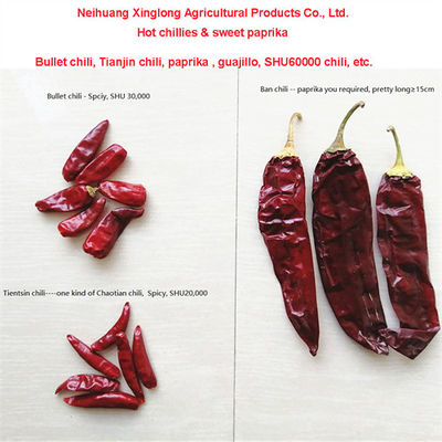 Heiß scharf getrocknete rote Chili 10-25 kg/Tasche 000-20 Scoville