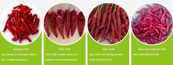 Rotfarbene Chilli-Pfeffer mit starkem Geschmack, auf kühlen, trockenen Flächen konserviert