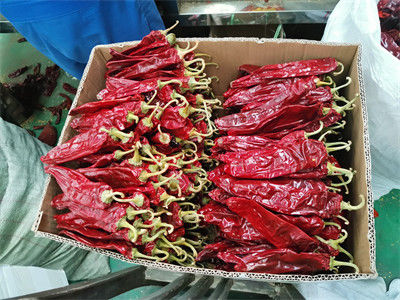 Rote getrocknete Paprika, Pfeffer, Gewürze und Gewürzpulver für die Lebensmittelindustrie
