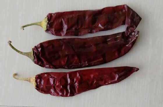 Rote getrocknete Paprika, Pfeffer, Gewürze und Gewürzpulver für die Lebensmittelindustrie