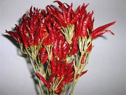 Stemless Chinese trocknete Chili Peppers 819 hohen SHU Dried Hot Chillies