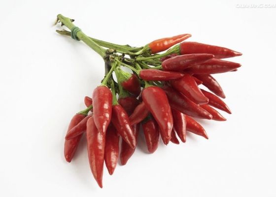 Unbestrahlte milde getrocknete rote Paprikas hielten Chili Pods Zero Additive auf