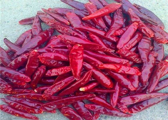 Essbare rote Paprika-neue Ernte Tianjins hielt getrockneten Arbol Chili Peppers auf