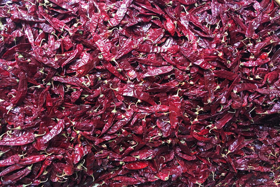 240 ASTA Sweet Paprika Pepper Seedless trockneten ganze rote Paprikas KEIN Pigment