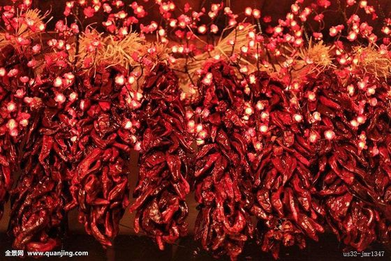 Süßes Erjingtiao trocknete Feuchtigkeit Chilis 12% Erjingtiao-Pfeffer mit Stamm