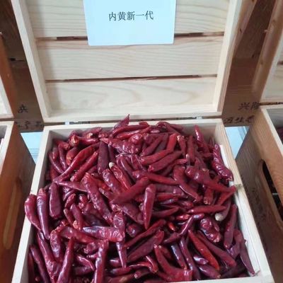 Chinese trocknete roten Chili Peppers Chaotian Szechuan Dried Chili Zero Additive