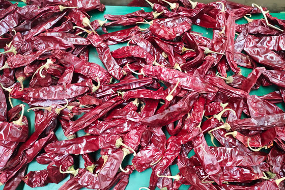 XingLong trocknete Paprika Peppers, die 16CM roten Chili Pods entwässerte