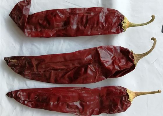 XingLong trocknete Paprika Peppers, die 16CM roten Chili Pods entwässerte