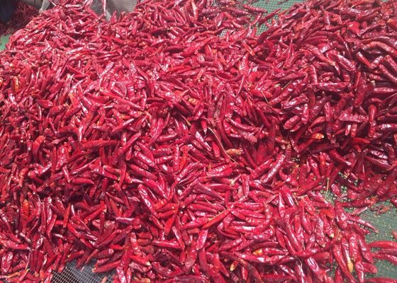100% reine getrocknete Arbol Pfeffer Pfeffer-70mm Tien Tsin Sun Dried Red