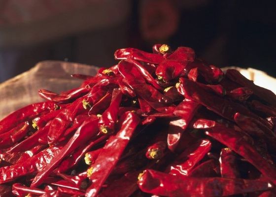 Authentische Chili Peppers Erjingtiao getrocknete Chilis mit 8-12% Feuchtigkeit und Luftgetrockneter Prozess