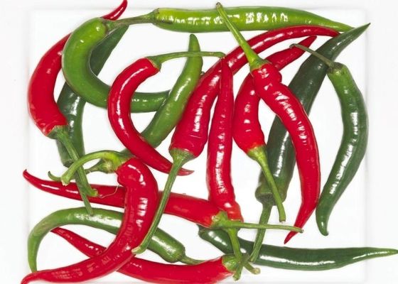Luftgetrocknete Erjingtiao-Chilis ohne Stamm und mit Chili-Peppern verpackt