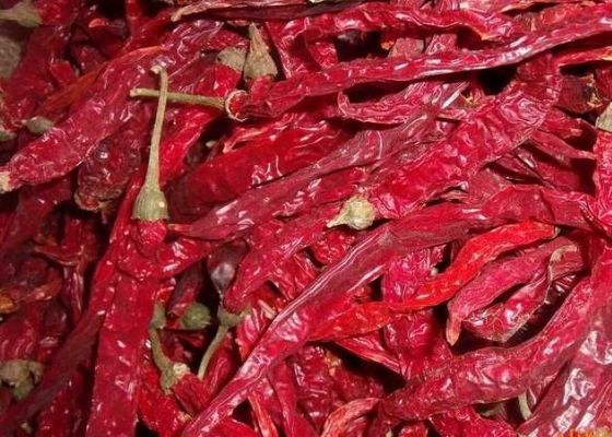 Authentische Chili Peppers Erjingtiao getrocknete Chilis mit 8-12% Feuchtigkeit und Luftgetrockneter Prozess