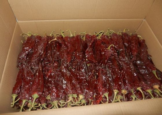 Steckform Kirsche Rot Guajillo Chilis Grade A Größe 10-15 cm