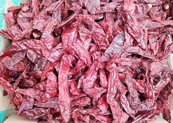 Feuchtigkeit Stock-Mexikos Guajillo 220 ASTA Dried Guajillo Chiles 14%