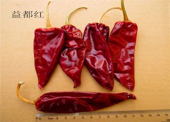 12cm trocknete Feuchtigkeit würzige Pfeffer-scharfe getrocknete rote Chili Podss 12%