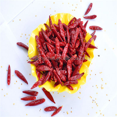 Marinaden benutzen die getrockneten sonnengetrockneten roten würzigen Pfeffer Guajillo-Paprika-7cm nicht