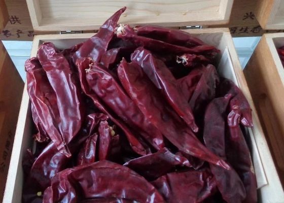 Marinaden benutzen die getrockneten sonnengetrockneten roten würzigen Pfeffer Guajillo-Paprika-7cm nicht