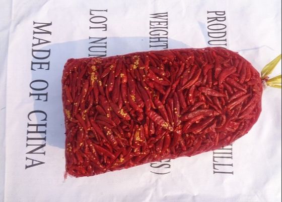 Roter Paprika-Chinese hohe Schärfe-trocknete roher Tianjins roten Chili Peppers