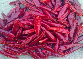 Tientsin trocknete Vögel mustern Paprika-wasserfreie ganze rote Pfeffer XingLong