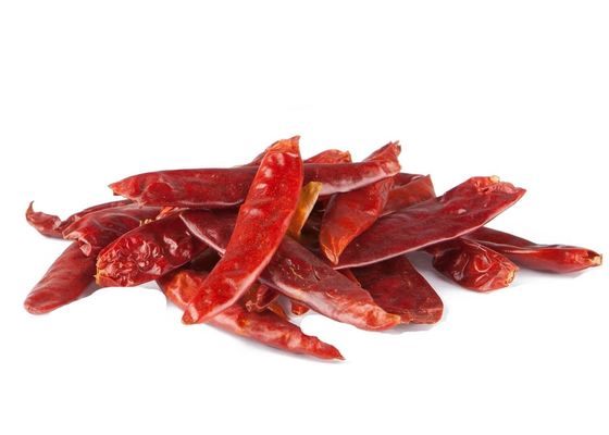 Rotfarbene Chilli-Pfeffer mit starkem Geschmack, auf kühlen, trockenen Flächen konserviert
