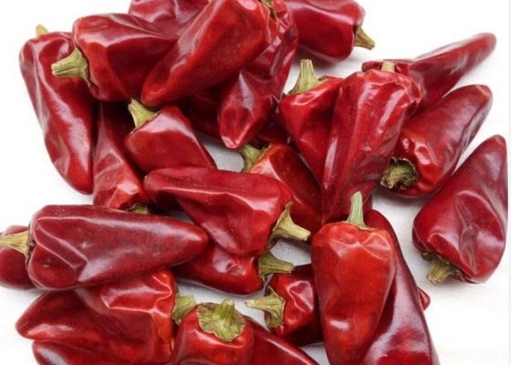 Chaotian trocknete um rote Paprikas 6CM 30000 SHU Whole Chilli Pods