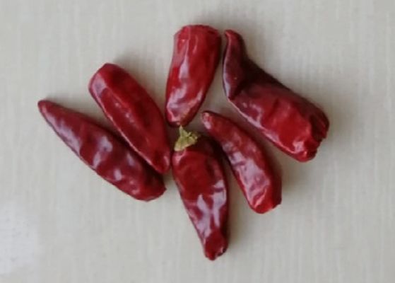 Chaotian trocknete um rote Paprikas 6CM 30000 SHU Whole Chilli Pods