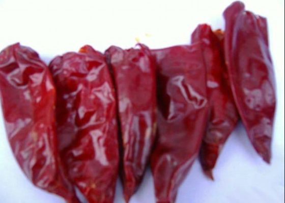 Rohe lange trockene rote Paprikas 2000 Yidu Chili Zero Additive Scoville