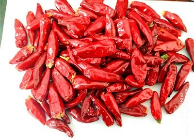20000 trocknete Feuchtigkeit SHU Facing Heaven Peppers 8% heißen Chili Single Herb