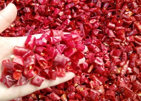 Chili-Pfeffer-Varietät Würz-Pfeffer-Ring für einmalige Kräuter- Gewürze