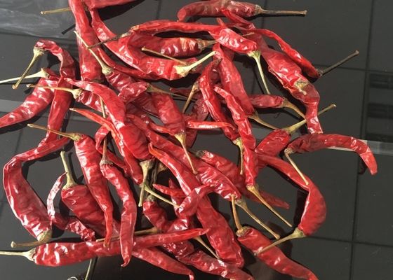 Stemless Erjingtiao getrocknetes Chilis entkeimte die ganzen scharfen Paprikas