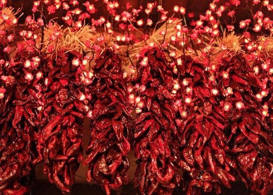 Langes trockenes 8000 scharfes Aroma SHU Dried Red Chilli Pepperss 20Kg
