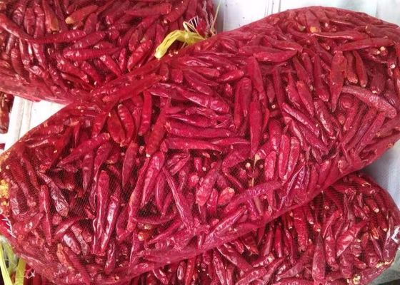 Rote Paprikas scharfe 5000 SHU Dried Red Chile Pods SHU 12000 Tianjin