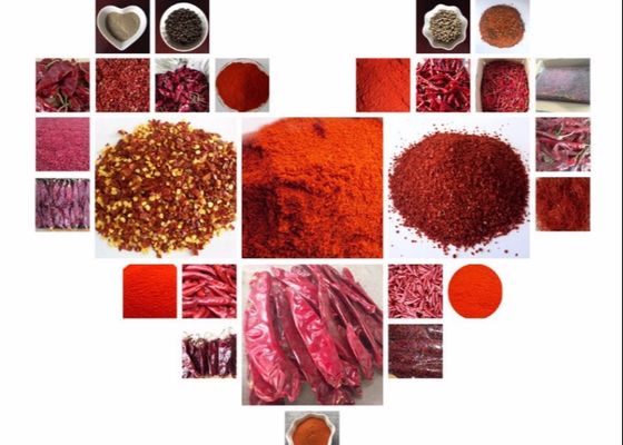 Rote Paprikas scharfe 5000 SHU Dried Red Chile Pods SHU 12000 Tianjin