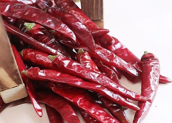 25000 Paprikas SHU Dried Red Chile Pepperss Tianjin entwässerten Gewürze
