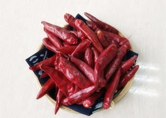 25000 Paprikas SHU Dried Red Chile Pepperss Tianjin entwässerten Gewürze