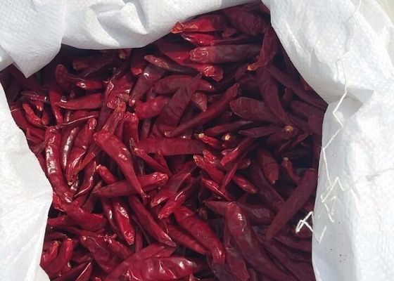 Würzige, kleine, rote Tianjin-Chilies mit hohem Vitamin-C-Gehalt Nährstoffreich und lecker