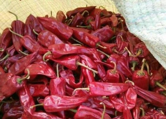 Paprika-Hülsen-würziger Duft Yidu Chili Air Dried Dehydrated Whole des spanischen Pfeffers