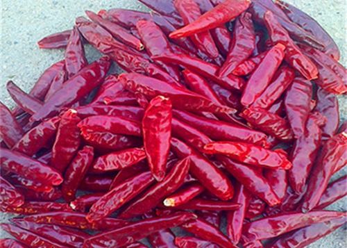 Stemless ANZEIGE trocknete Vögel mustern Paprikas 20000 SHU Red Chilli Peppers