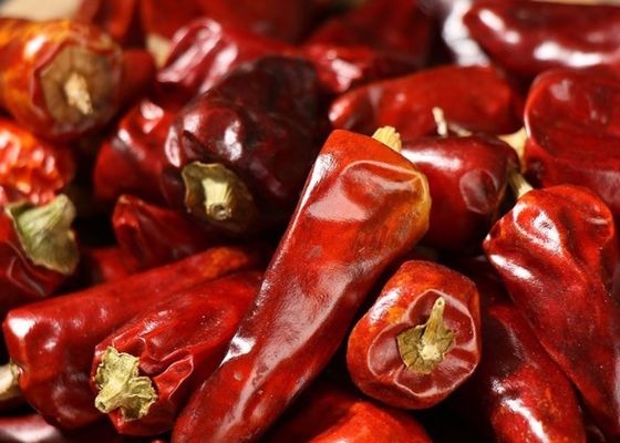 Stemless rote Kugel-Paprikas entwässerten 25000 SHU Dried Spicy Peppers