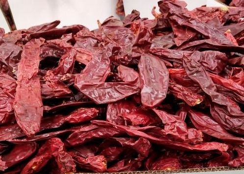 500SHU heiße rote Jinta Chilli für Suppen