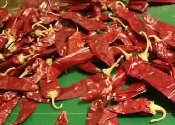 8000 SHU Cherry Red Guajillo Chilis die ANZEIGE, die Hülsen Chiles Guajillo trocknet, haften Form