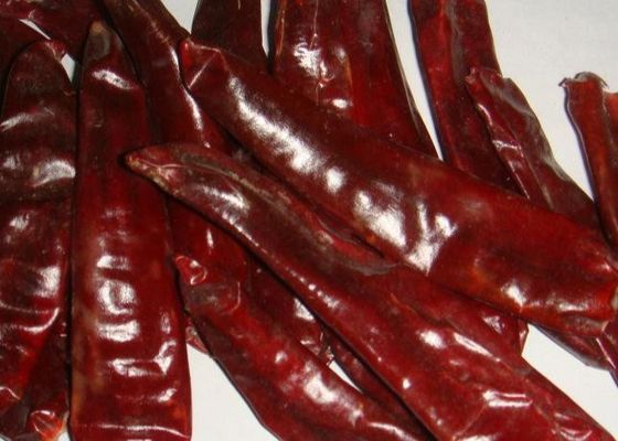 Mexikanische Nahrung trocknete Guajillo-Paprika 5000 SHU Dried Red Peppers Paprika