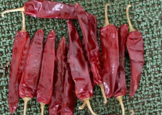 Mexikanische Nahrung trocknete Guajillo-Paprika 5000 SHU Dried Red Peppers Paprika