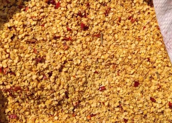 Körnchen trocknete Paprikas sät 10PPB 15000 SHU Spicy Pepper Seeds HACCP