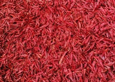Tientsin trocknete Vögel mustern Paprika-wasserfreie ganze rote Pfeffer XingLong