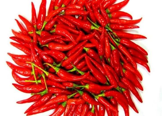 Einzelkräuter Gewürze Trocknete rote Chilli-Pfeffer mit maximal 1% Unreinheit