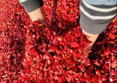 Tianjin trocknete rote Paprikas abblättert 3mm trocknete zerquetschte Paprikas HACCP
