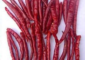 Trockene heiße Chili-Pfeffer sind ein wesentlicher Bestandteil der traditionellen chinesischen Küche