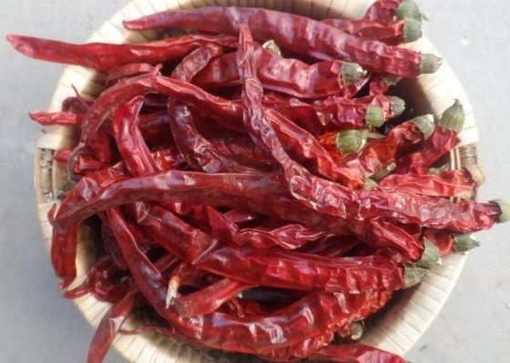 Würzegetrocknete rote Paprika-Pfeffer für alle der Gewürz-Importeur 4-7 cm